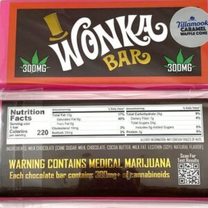 Wonka Bar Tillamook Caramel Waffle Cone