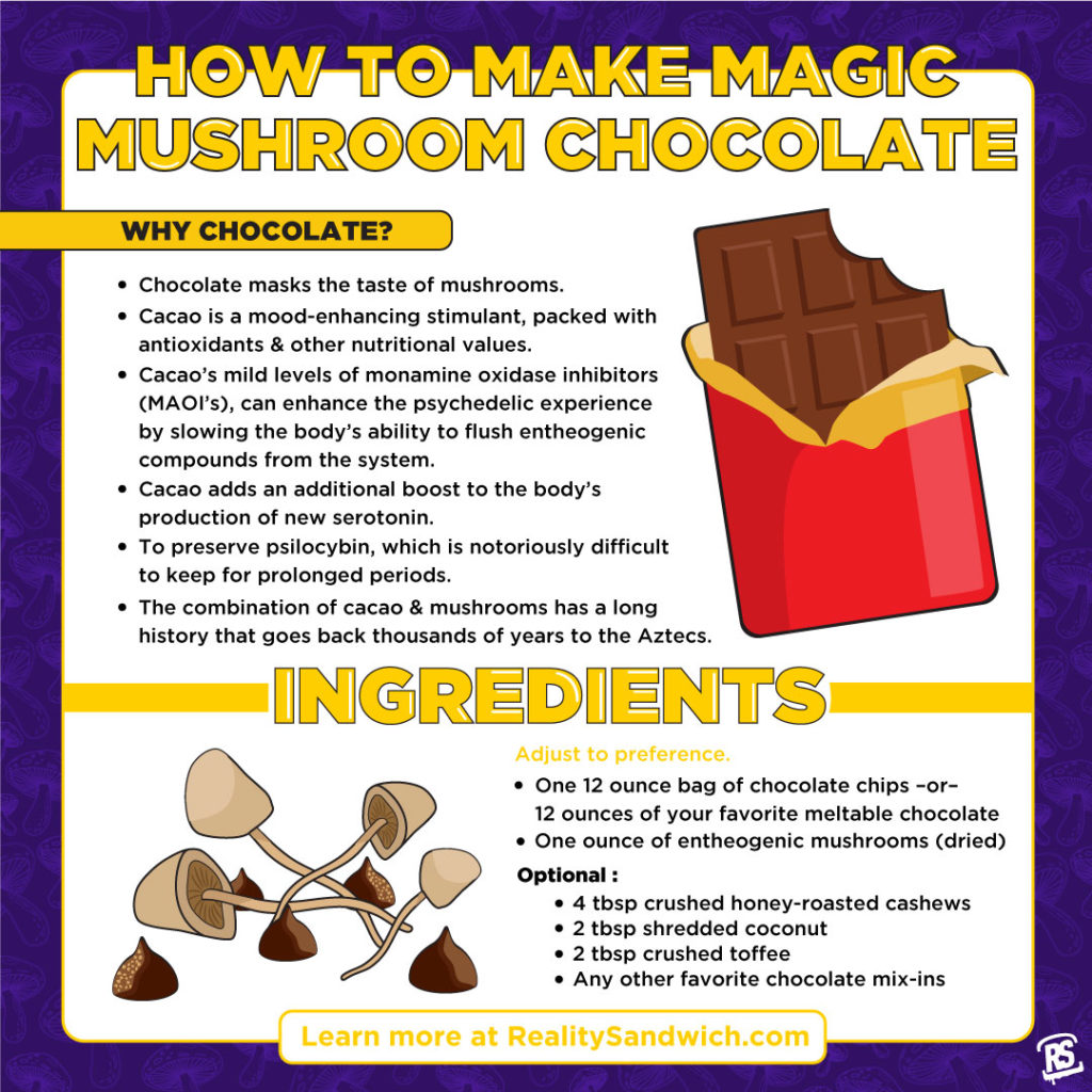 How Do Mushroom Chocolates Work in the Body?