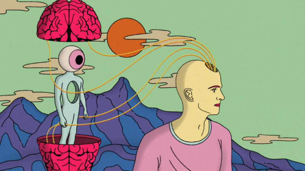 How Does Psilocybin Change Perception?