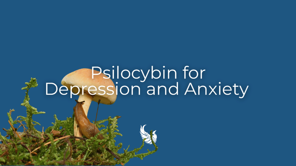 Psilocybin and Anxiety