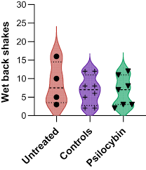 Does Psilocybin Build Tolerance Quickly
